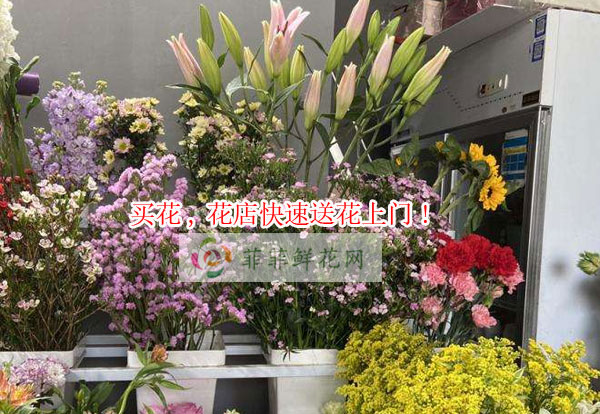 广元利州区买花,广元利州区花店快速送花上门!